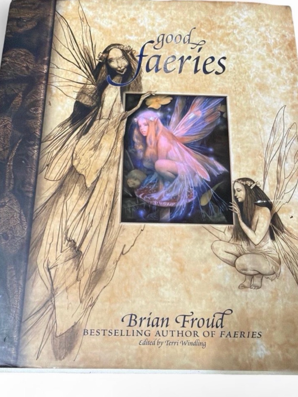 Brian Froud Good Faeries Bad Faeries 1998 Art Book